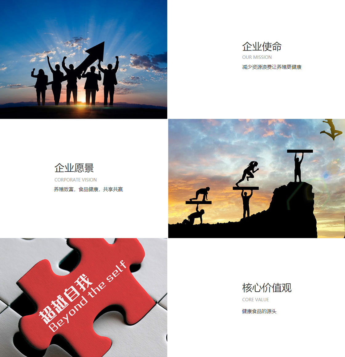 九游会老哥J9俱乐部(图1)